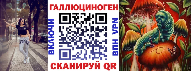 darknet как зайти  мега сайт  Холмск  наркошоп  Галлюциногенные грибы Psilocybe 